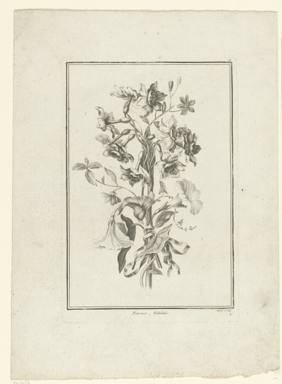 Kytice z narcisu a svlačec Narcissus, Volubilis (název na objektu) IIe Cahier de Bouquets (název série) od Jean Jacques Avril (I)