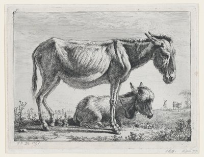 Jenny se svým hříbětem, 1797. od Jean Jacques de Boissieu