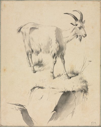 Studie o koze, 1700. od Jean Jacques de Boissieu
