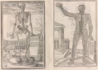 O pitvě částí lidského těla, kniha třetí, 1545 od Jean Jollat