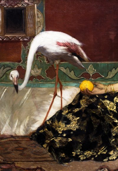 Růžový plameňák (detail) od Jean Joseph Benjamin Constant