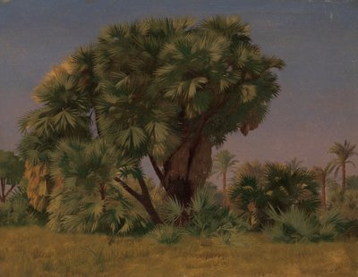 Studie o palmách, pravděpodobně 1868. od Jean Leon Gerome