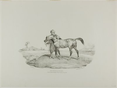 Arabský kůň, deska 8 z knihy Různé náměty kreslené ze života a na kameni (The English Suite) od Jean Louis André Théodore Géricault