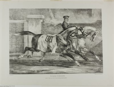 Cvičení koní, deska 6 z knihy Různé náměty kreslené ze života a na kameni (The English Suite) od Jean Louis André Théodore Géricault