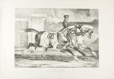Cvičení koní, deska 6 z Různé náměty kreslené ze života na kameni od Jean Louis André Théodore Géricault