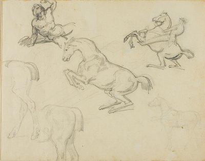 Náčrtky: Ležící akt, jezdec a různí koně od Jean Louis André Théodore Géricault