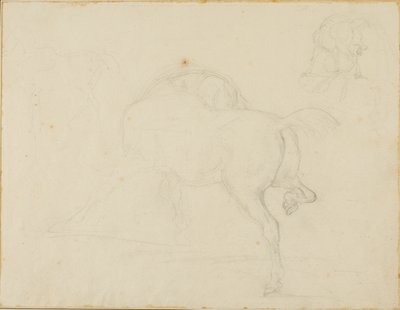 Studie koně otáčejícího hlavou a zvedajícího zadní nohu od Jean Louis André Théodore Géricault