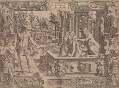 The Metamorphosis of Acteon, 1535-55. od Jean Mignon