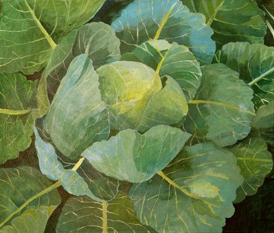 Zelí (modré), 2014 (akryl na plátně) od Jennifer Abbott