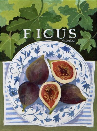 Fieus (fíky), 2014 (akryl na plátně) od Jennifer Abbott