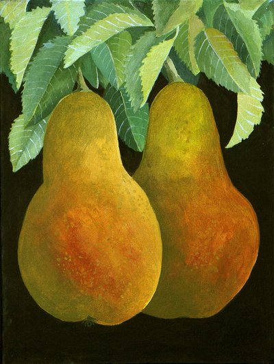 Hrušky, 2014 (akryl na plátně) od Jennifer Abbott