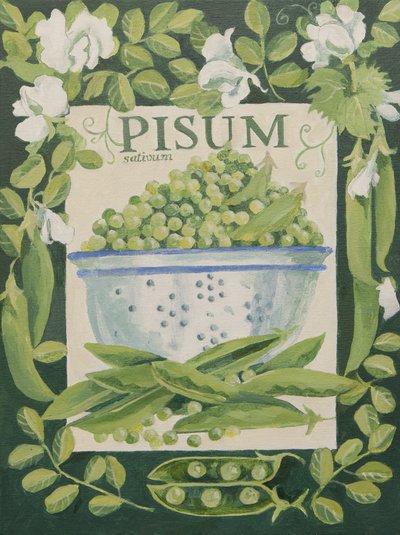 Pisum, Hrách (akryl) od Jennifer Abbott