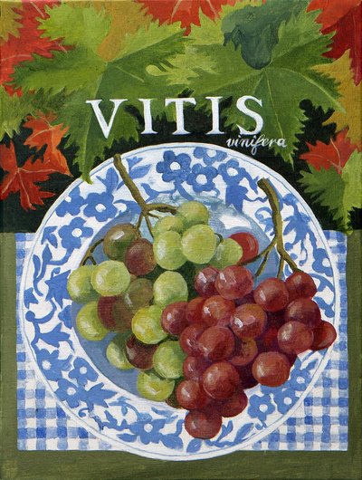 Vitus (hrozny), 2014 (akryl na plátně) od Jennifer Abbott
