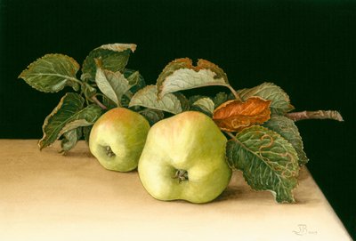 Bramleys od Jenny Barron