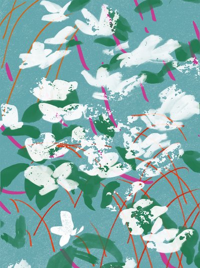 Teal Tales od Jenny Frean