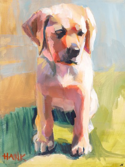 Hank od Jenny Westenhofer