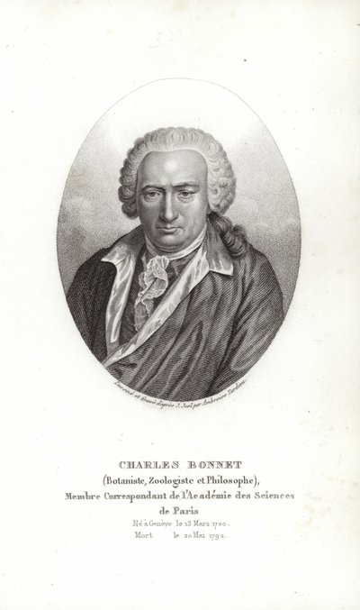 Charles Bonnet od Jens Juel