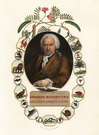 Portrét Charlese Bonneta, ženevského přírodovědce. 1803 (rytina) od Jens Juel