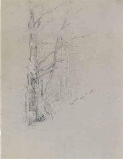 Suchý potok, 1888. od Jervis McEntee