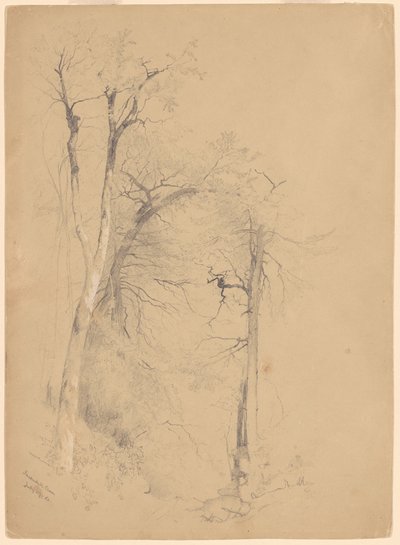 Kaaterskill hřebíček od Jervis McEntee