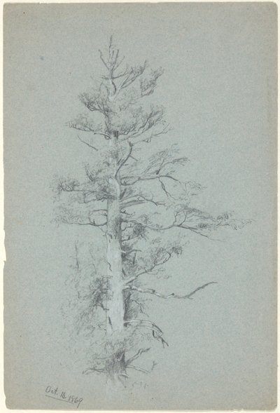 Stromová studie od Jervis McEntee
