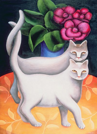 Tango od Jerzy Marek