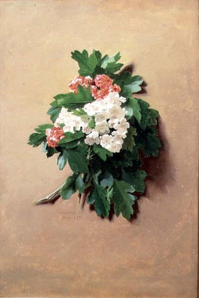 květen (ze série dvanácti) od Jessica Hayllar