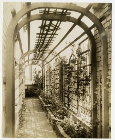 Zadní zahrada paní Reginy Jaisové, kolem roku 1936-37 (želatinová stříbrná fotografie) od Jessie Tarbox Beals