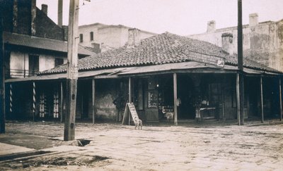 New Orleans, kolem roku 1905 od Jessie Tarbox Beals