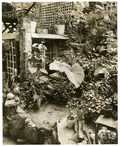 Bazén zobrazující terasu Domov George a Mary Stonehillových, Greenwich Village, New York, USA, cca 1936-37 (želatinová stříbrná fotografie) od Jessie Tarbox Beals