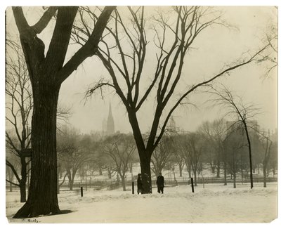 The Common, Boston, USA, cca 1902-10 (želatinová stříbrná fotografie) od Jessie Tarbox Beals