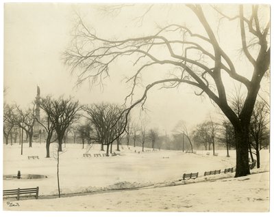 The Common, Boston, USA, cca 1902-10 (želatinová stříbrná fotografie) od Jessie Tarbox Beals