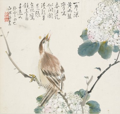 Čínský Hwamei, 1857 od Jin Yuan