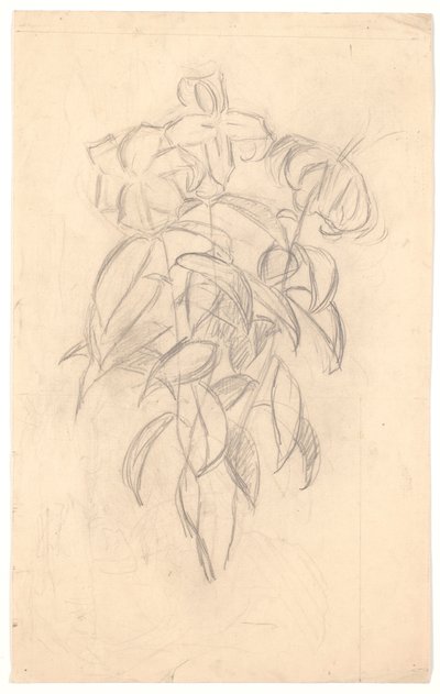 Květinová studie od Joakim Frederik Skovgaard