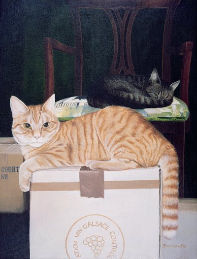 Mango s Molyneuxem od Joan Freestone