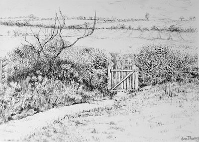 Cottage Gate and View Beyond, 2015, (pero a inkoust) od Joan Thewsey