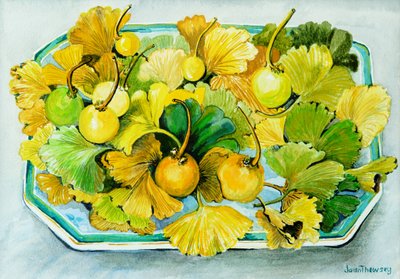 Ginkgo, plody a listy, 2010, akvarel od Joan Thewsey