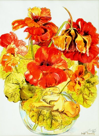 Nasturtiums, 2005, (vodová barva) od Joan Thewsey