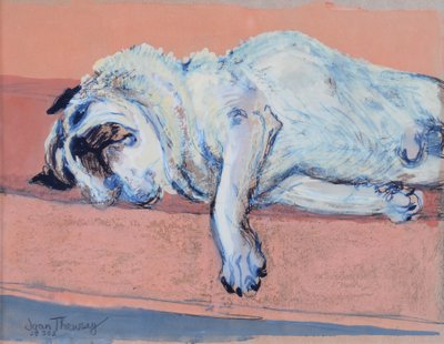 Sleeping Pug Two, 2000, (inkoust a kvaš) od Joan Thewsey