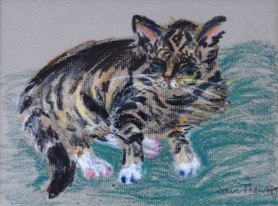 Mourovatá kočka, 2005 (pastel) od Joan Thewsey