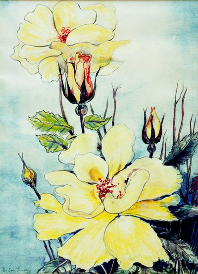 Yellow Rose in a Suffolk Breeze, 2005, (vodová barva) od Joan Thewsey