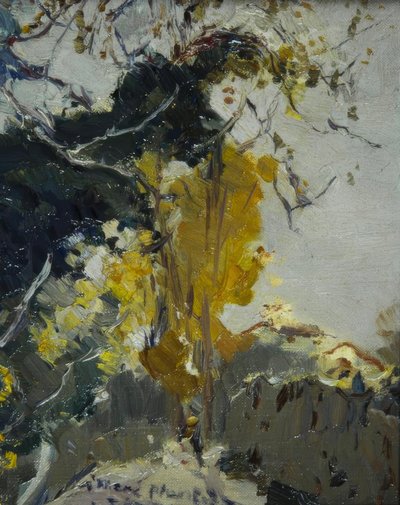 Baum od Joaquim Mir i Trinxet