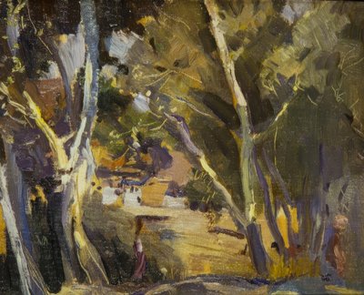 Miravet od Joaquim Mir i Trinxet