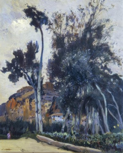 Miravet od Joaquim Mir i Trinxet