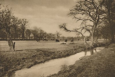 Kde se Beverley Brook vine Královským loveckým parkem v Richmondu, c1935. od Joel