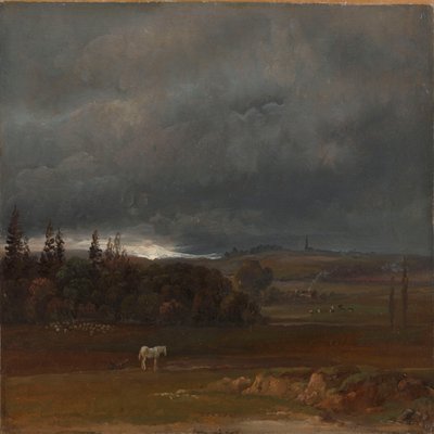Pole u Drážďan s bílým koněm od Johan Christian Dahl