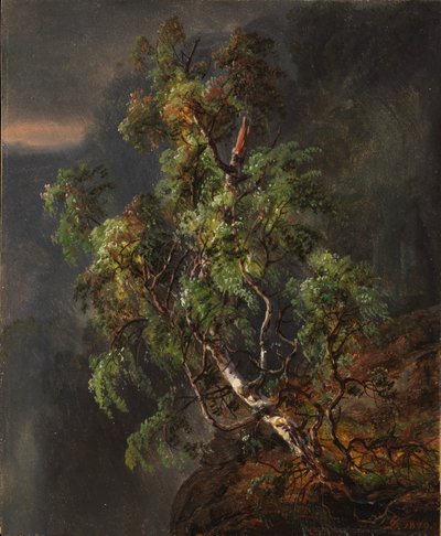 Bříza v bouři od Johan Christian Dahl