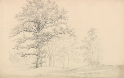 listnaté stromy od Johan Christian Dahl