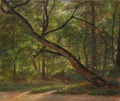 Pozemek ve Velké zahradě u Drážďan od Johan Christian Dahl