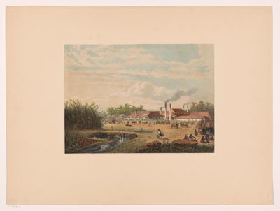 Továrna Pangka poblíž Tegal ve střední Jávě Cukrovar Pangka; Rezidence Tagal Java po malbách a kresbách A. Salma (název série) od Johan Conrad Greive